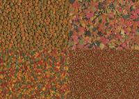 Selection 4in1 250 ml Vis Gebr. de Boon Tetra - Tetra - thumbnail