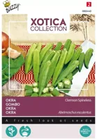 Zaden Xotica Okra Clemson Spineless Buzzy - Buzzy - thumbnail