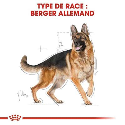 Royal Canin Adult German Shepherd hondenvoer 11 kg - thumbnail