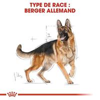Royal Canin Adult German Shepherd hondenvoer 2 x 11 kg - thumbnail