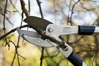 Meister Takkenschaar Telesc. Amboss 2C - WU9769300 - thumbnail