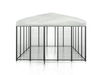 Cucciolotta Polly Run Kippenren