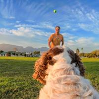 Insta360 Pet Harness Mount Size M - thumbnail