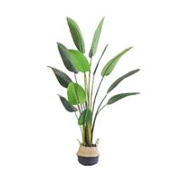 Kunstplant Blad Strelitzia Soft 120 cm Buitengewoon de Boet - Buitengewoon de boet - thumbnail