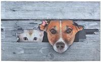 Deurmat Kiekeboe Hond en Kat - thumbnail