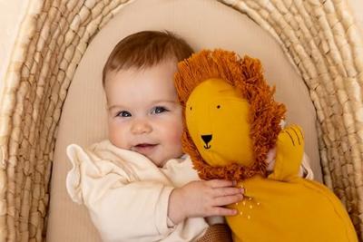 Trixie knuffel pluche klein - mr. lion