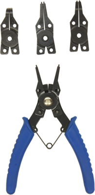 CON:P Borgveertang - CPT179004