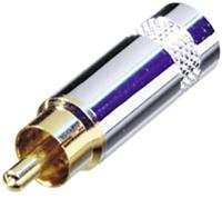 Rean AV NYS352G Cinch-connector Stekker 1 stuk(s) - thumbnail