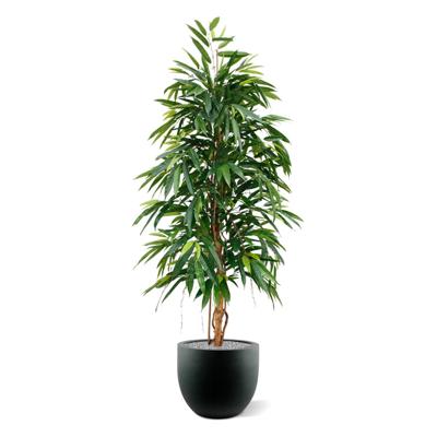 Longifolia Royal kunstboom 175cm