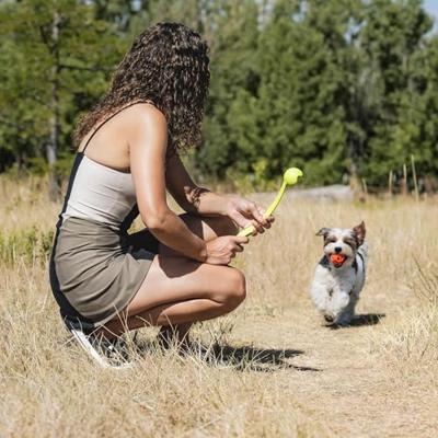 CHUCKIT BREATHE RIGHT FETCH BAL MEDIUM 2 ST - thumbnail