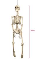 Decoratie Skelet 92cm - thumbnail