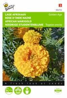 Tagetes, lage Afrikaan Golden Age - thumbnail