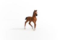 Schleich horse club oldenburger veulen 13947 - thumbnail
