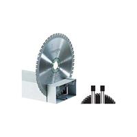 Festool Accessoires Zaagblad voor TS 75 | F36 | 493351 - thumbnail