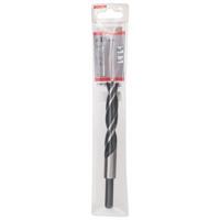 Bosch Accessories 2608596312 Hout-spiraalboor 15 mm Gezamenlijke lengte 160 mm Cilinderschacht 1 stuk(s) - thumbnail