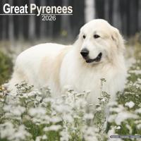 Great Pyrenees Calendar 2026 Square Dog Breed Wall Calendar - 16 Month - thumbnail