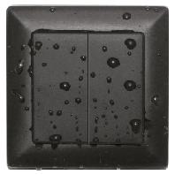 Eltako SWS55/DW-an Spatwaterbescherming