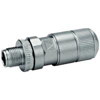 Pepperl+Fuchs 70118035 Kabelstekker Stekker 1 stuk(s) - thumbnail