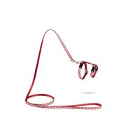 Beeztees Kittentuig Hartjes Rood 120cm x 10mm - thumbnail