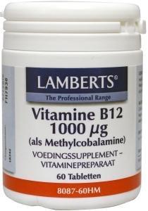 Vitamine B12 1000 mcg (als Methylcobalamine) Vitamine B12 1000 mcg (als Methylcobalamine)