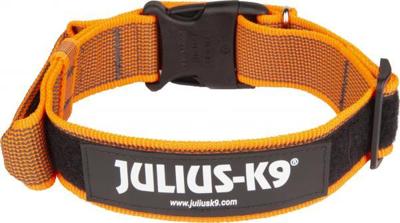 Halsband Met Beveiligingssluiting - Oranje - 40mm x 38-53cm