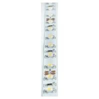 Brumberg Brumberg Leuchten 15271027 LED-strip Energielabel: G (A - G) 24 V 5 m Warmwit 1 stuk(s) - thumbnail