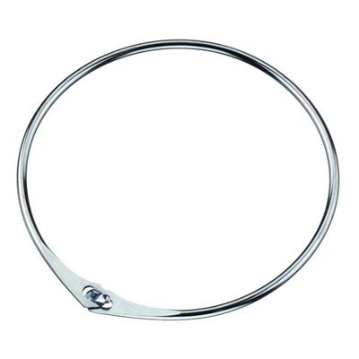 Euro-Locks sleutel-/cipiersring 120 mm