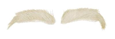 Sint Wenkbrauwen Buffelhaar