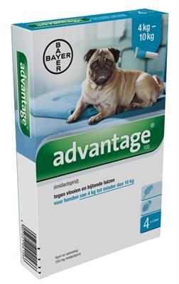 Advantage Hond 100