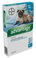 Advantage Hond 100 - thumbnail