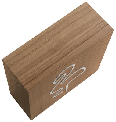 Speaker Neon Flam Bluetooth/Induc/Light - Accessoires (3571211395713)