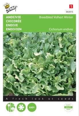 Buzzy® Andijvie Volhart Winter Zaden