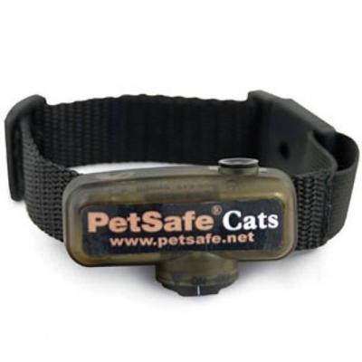PetSafe extra halsband Kat Cat fence PCF-275 PetSafe Gebr. de Boon - Gebr de boon