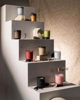 IPuro geurkaars cuir 270gr - thumbnail