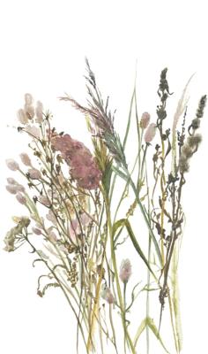 Noordwand Fotobehang aquarel droogbloemen boeket - 35798