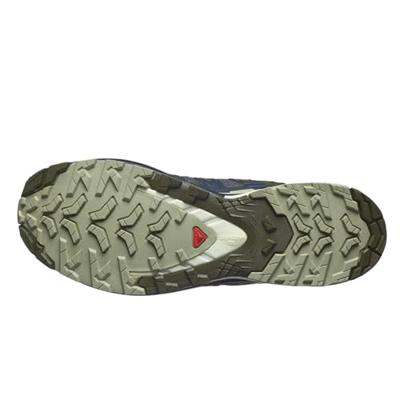 Salomon Xa Pro 3D V9 Lage Wandelschoen Heren India Ink/Olive Night/Aloe Wash 9,5 (44) Salomon Xa Pro 3D V9 Lage Wandelschoen Heren India Ink/Olive Night/Aloe Wash 9,5 (44)