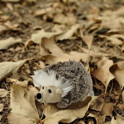 Take Me Home egel knuffel pluche staand, 16cm