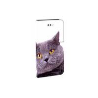 iPhone 7 | 8 | SE (2020) | SE (2022) | Telefoonhoesje | Met pasjeshouder | Kat - thumbnail