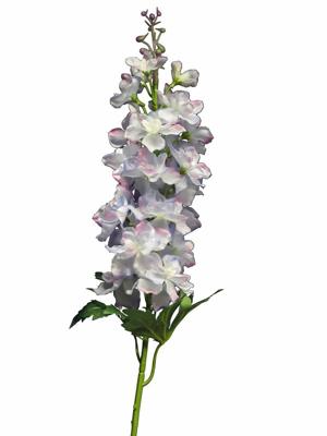 Delphinium Diva light blue 90cm