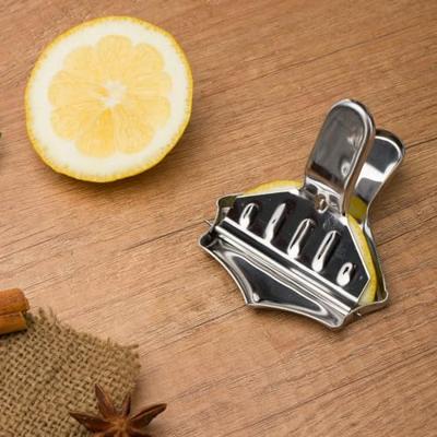 Westmark Citroenknijper RVS