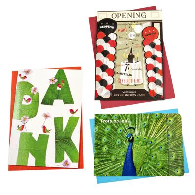 Wenskaart paperclip navulset overig 12 kaarten