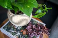 Capi Bloempot Vaas Bol Groove Groen Ø13cm - thumbnail