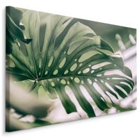 Schilderij - Close up Monstera Blad, Groen, Premium Print - thumbnail