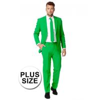 opposuits Evergreen - thumbnail