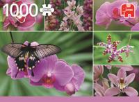 Premium Collection Puzzel - Holland Orchids (1000 Stukjes) - Puzzel;Puzzel (8710126183540) - thumbnail