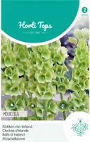 Zaden Moluccella Klokken van Ierland Hortitops - Hortitops - thumbnail