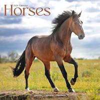 Horses Calendar 2026 Square Horses Wall Calendar - 16 Month - thumbnail