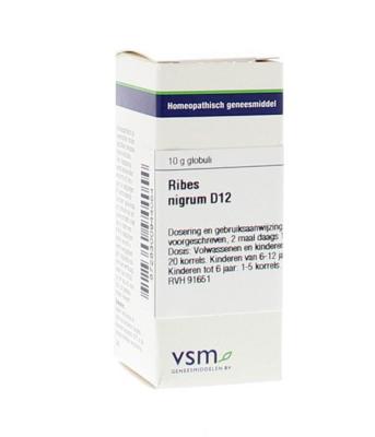 VSM Ribes nigrum D12 10 Gram