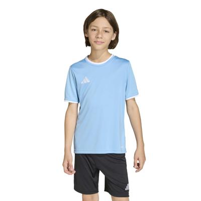 adidas Entrada 26 Voetbalshirt Kids Lichtblauw Wit