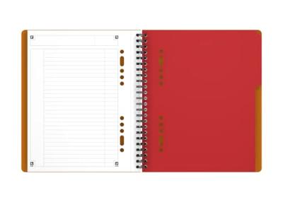 Oxford INTERNATIONAL activebook, 160 bladzijden, ft A5+, gelijnd Oxford INTERNATIONAL activebook, 160 bladzijden, ft A5+, gelijnd